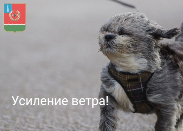 Уважаемые жители Мелекесского района. Уважаемые жители Мелекесского района.